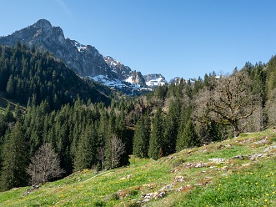 DCCG5X-20250428-1141
