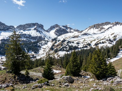 DCCG5X-20250428-1159