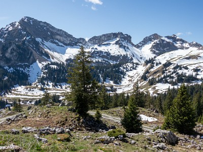 DCCG5X-20250428-1160