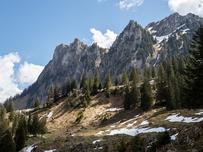 DCCG5X-20250428-1180