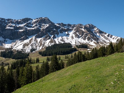Hohmattli (2025-04-30)