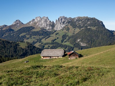 DCCG1X-20250929-1965