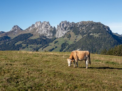 DCCG1X-20250929-1966