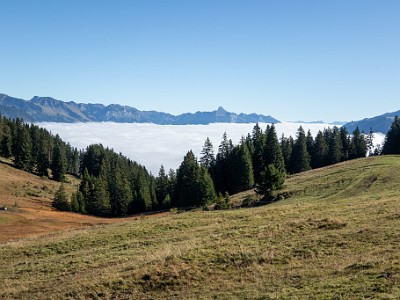 DCCG1X-20250929-1974