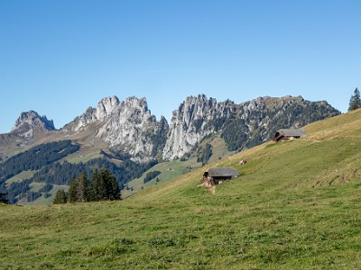 DCCG1X-20250929-1976