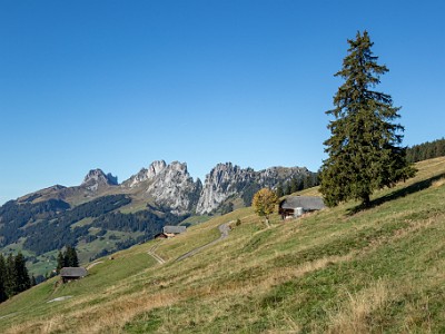 DCCG1X-20250929-1978