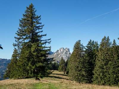 DCCG1X-20250929-1986