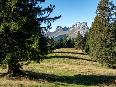 DCCG1X-20250929-1988