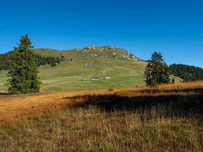 DCCG1X-20250929-1990