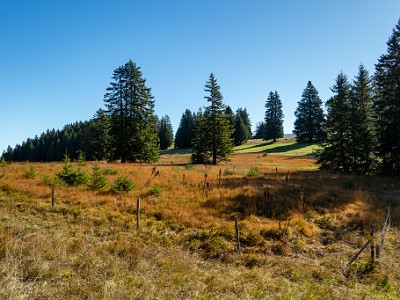 DCCG1X-20250929-1992