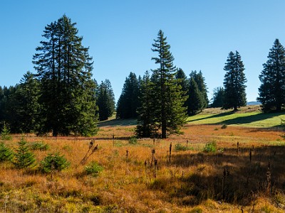 DCCG1X-20250929-1993