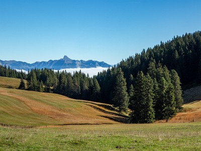 DCCG1X-20250929-1994