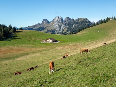 DCCG1X-20250929-2000