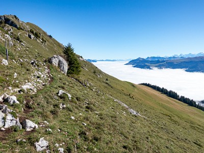 DCCG1X-20250929-2008