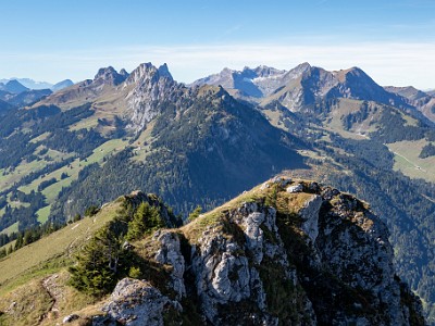 DCCG1X-20250929-2020