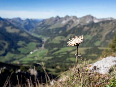 DCCG1X-20250929-2028