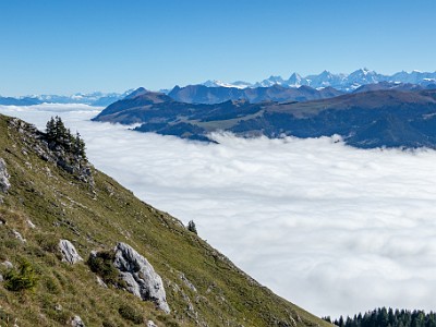 DCCG1X-20250929-2032