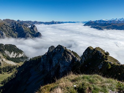 DCCG1X-20250929-2055