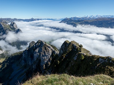 DCCG1X-20250929-2063