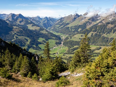 DCCG1X-20250929-2064