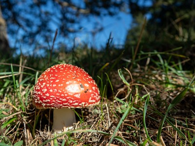 DCCG1X-20250929-2068