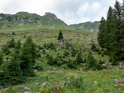 DCLDLUX8-20250705-1000729