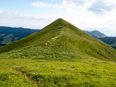 DCLDLUX8-20250705-1000731