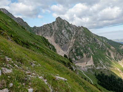 DCLDLUX8-20250705-1000733