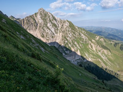 DCLDLUX8-20250705-1000736