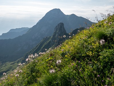 Bürgle (2025-07-05)