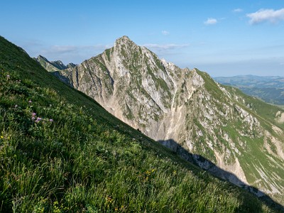 DCLDLUX8-20250705-1000738