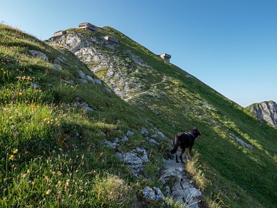 DCLDLUX8-20250705-1000739