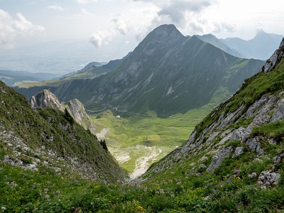 DCLDLUX8-20250705-1000743