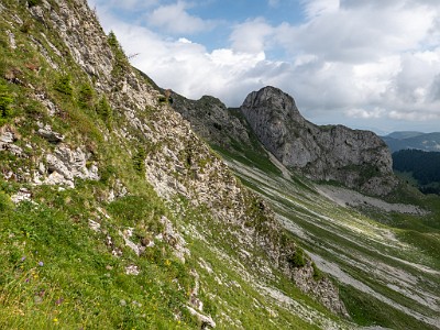 DCLDLUX8-20250705-1000744