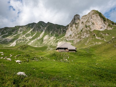 DCLDLUX8-20250705-1000745