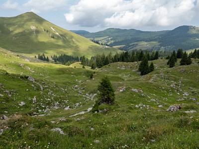 DCLDLUX8-20250705-1000746