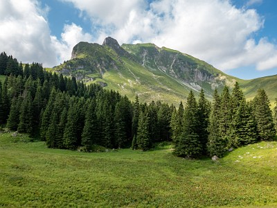 DCLDLUX8-20250705-1000747