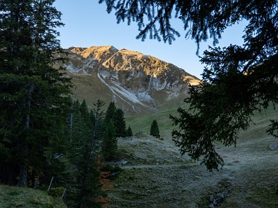 DCLDLUX8-20251014-1001746