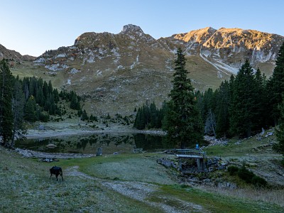 DCLDLUX8-20251014-1001748