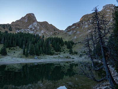 DCLDLUX8-20251014-1001749