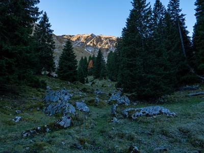 DCLDLUX8-20251014-1001751