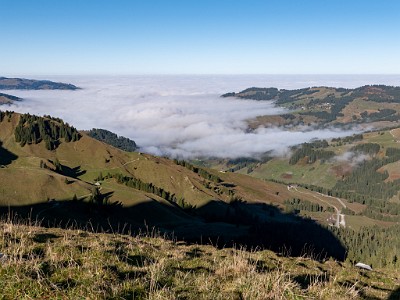 DCLDLUX8-20251014-1001756