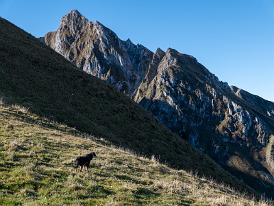 DCLDLUX8-20251014-1001757