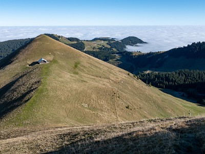 DCLDLUX8-20251014-1001759