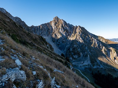 DCLDLUX8-20251014-1001761