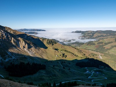 DCLDLUX8-20251014-1001762