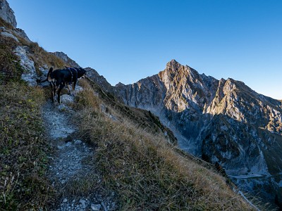 DCLDLUX8-20251014-1001764