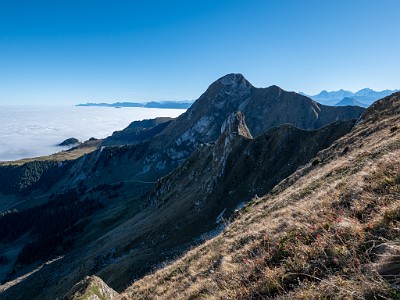 DCLDLUX8-20251014-1001767