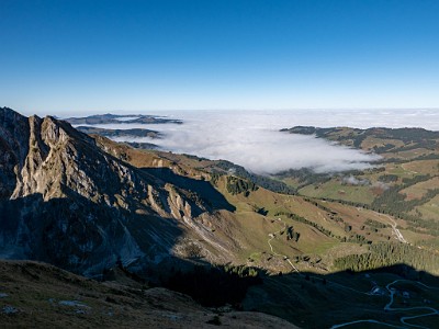 DCLDLUX8-20251014-1001768