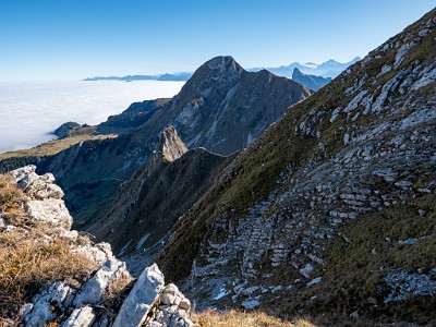 DCLDLUX8-20251014-1001774